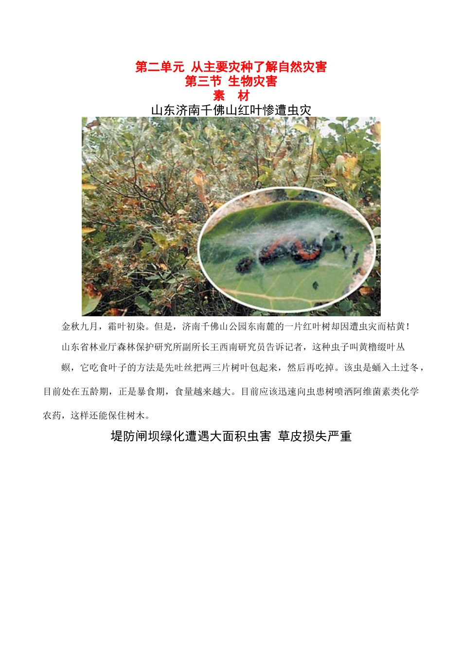 高中地理鲁教版地理第二单元 第三节 生物灾害（素材）鲁教版选修5_第1页