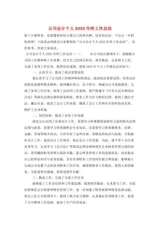 公司会计个人2025年终工作总结