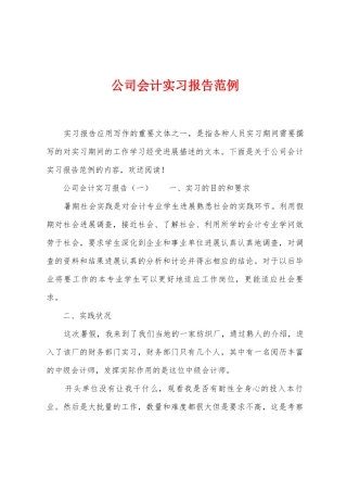 公司会计实习报告范例