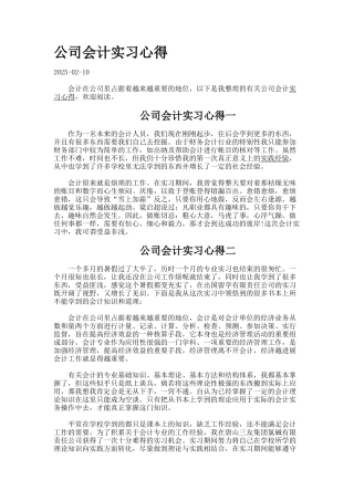 公司会计实习心得