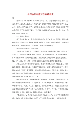 公司会计年度工作总结例文