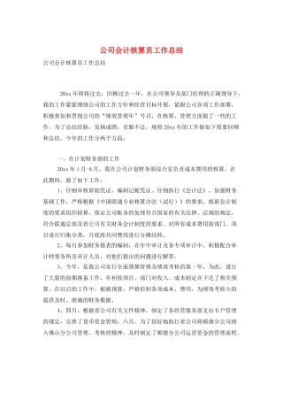 公司会计核算员工作总结