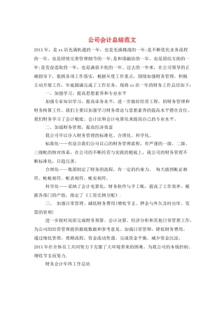 公司会计总结范文