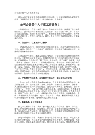 公司会计的个人年度工作计划