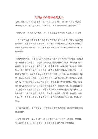 公司会议心得体会范文三