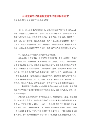 公司党委书记抓基层党建工作述职报告范文