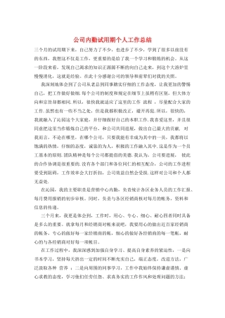 公司内勤试用期个人工作总结