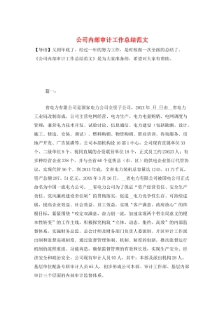公司内部审计工作总结范文