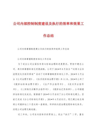 公司内部控制制度建设及执行的效率和效果工作总结