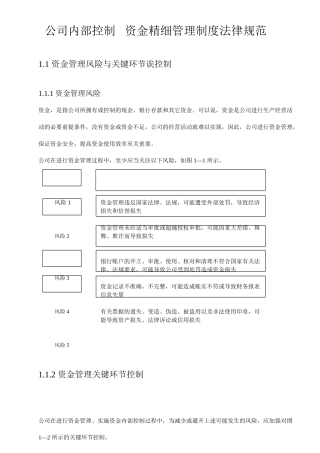 公司内部控制资金精细管理制度规范
