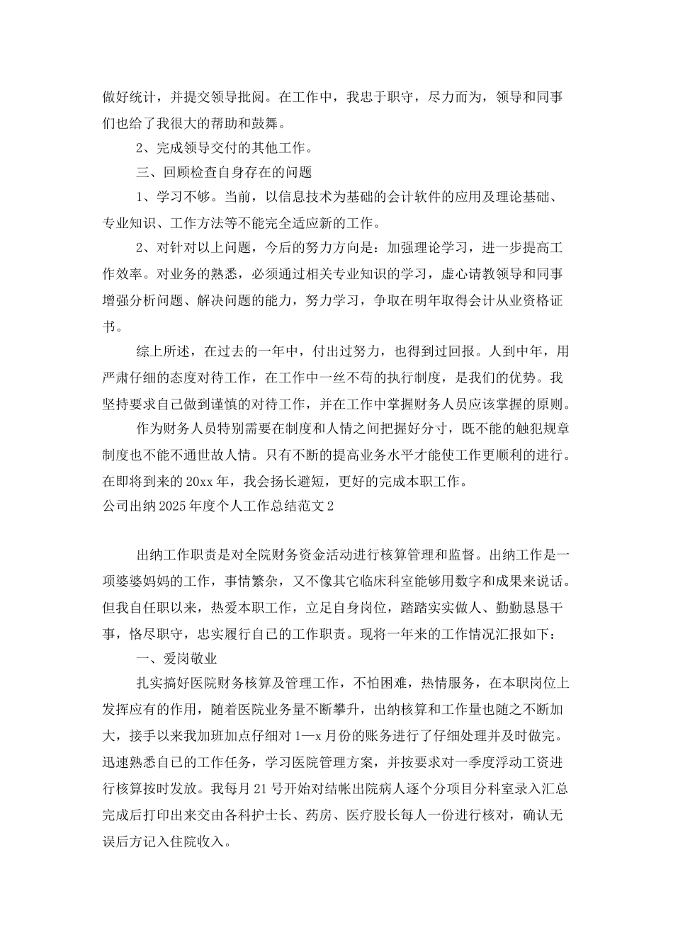 公司出纳2025年度个人工作总结范文_第2页