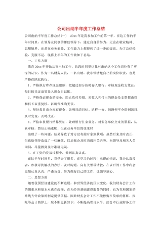 公司出纳半年度工作总结