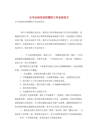 公司出纳员试用期的工作总结范文
