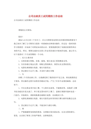 公司出纳员工试用期的工作总结