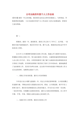 公司出纳员年度个人工作总结