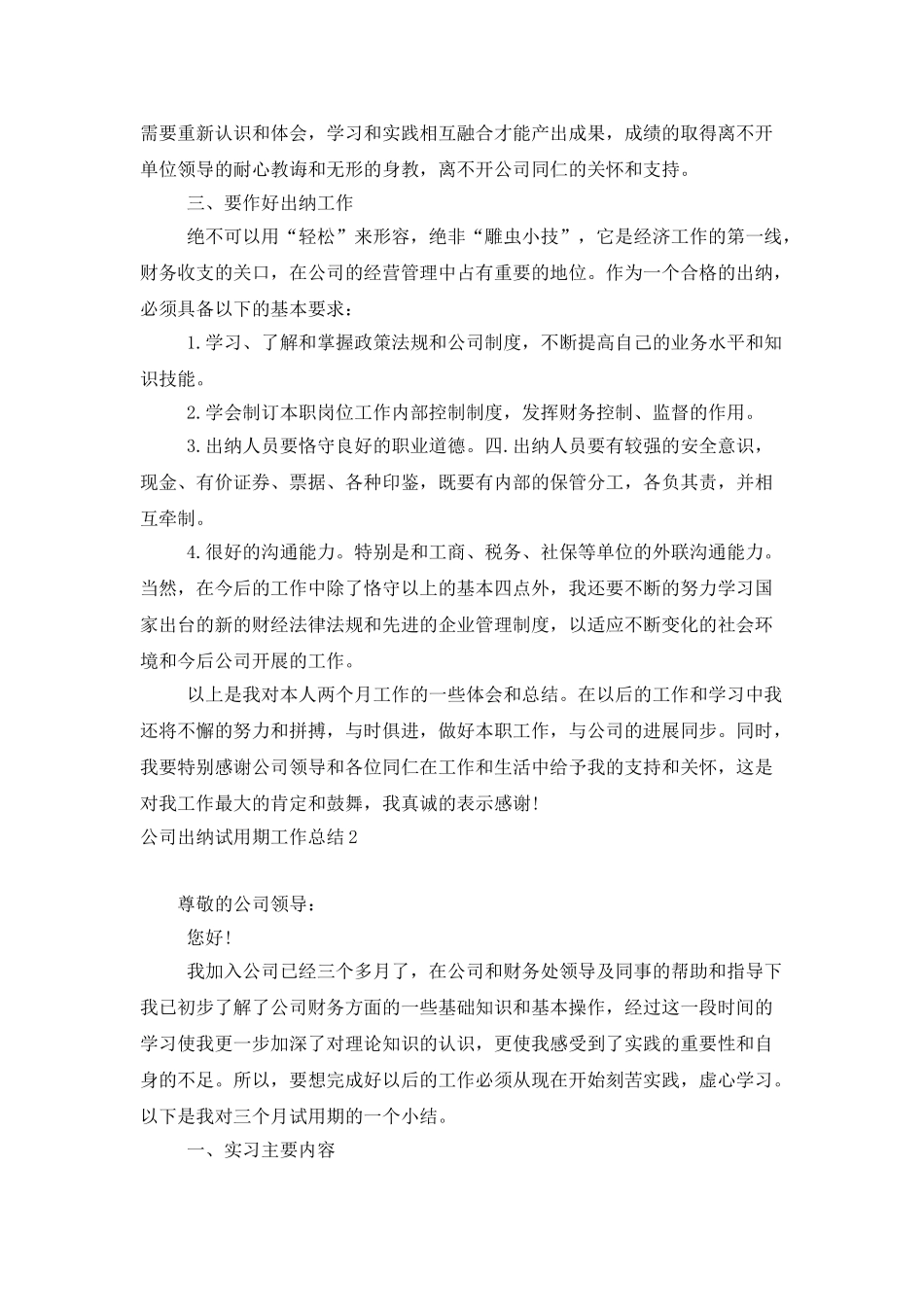 公司出纳试用期工作总结12篇_第2页