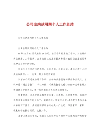 公司出纳试用期个人工作总结