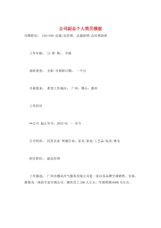 公司副总个人简历模板