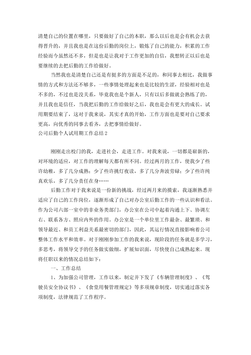 公司后勤个人试用期工作总结_第2页