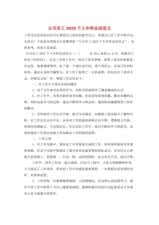 公司员工2025个人年终总结范文