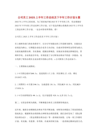 公司员工2025上半年工作总结及下半年工作计划5篇