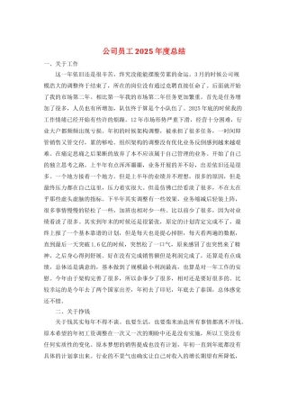 公司员工2025年度总结