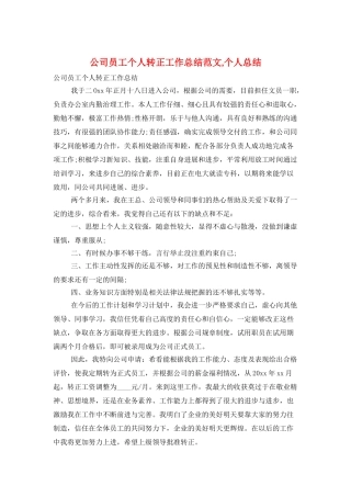 公司员工个人转正工作总结范文-个人总结