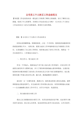 公司员工个人转正工作总结范文