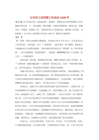 公司员工试用期工作总结1500字
