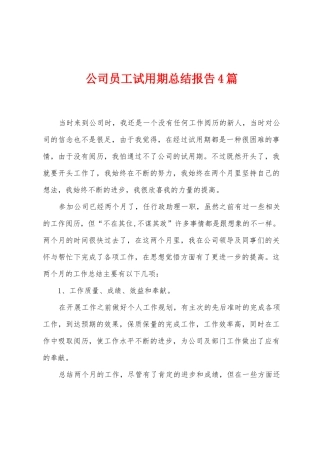 公司员工试用期总结报告4篇