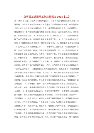 公司员工试用期工作总结范文2025