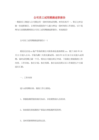 公司员工试用期满述职报告