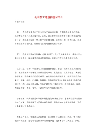 公司员工违规的检讨书1