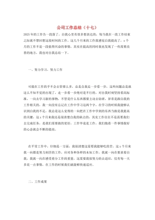 公司工作总结(十七)