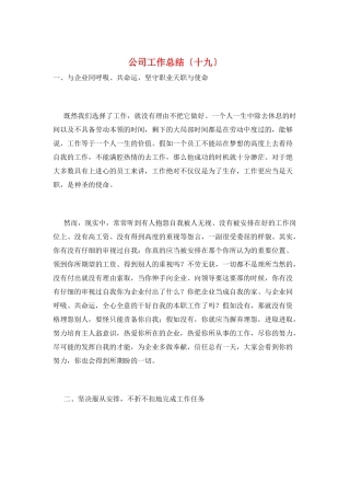 公司工作总结(十九)
