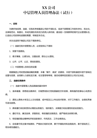 公司干部管理办法