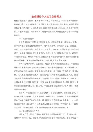 农业银行个人实习总结范文
