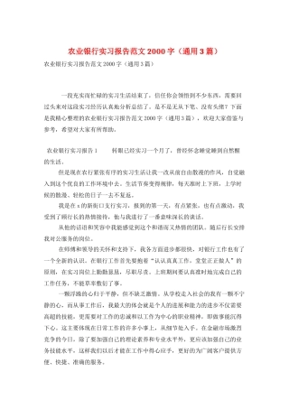 农业银行实习报告范文2000字