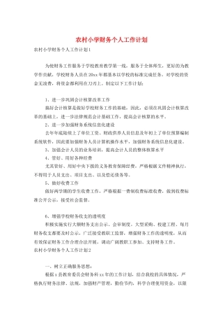农村小学财务个人工作计划