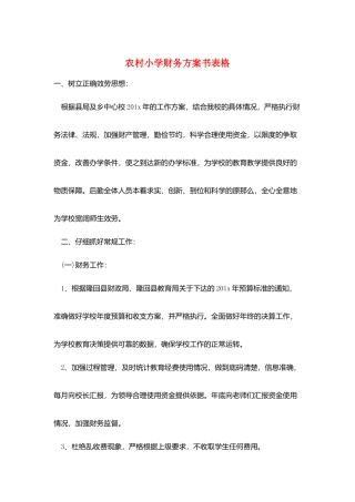 农村小学财务计划书表格