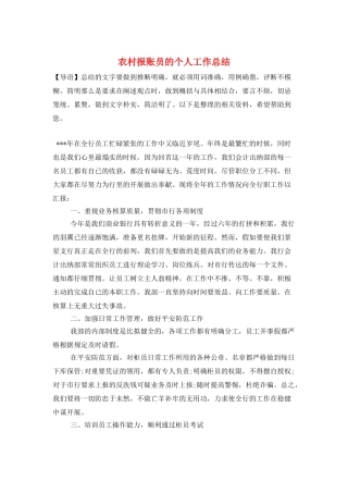 农村报账员的个人工作总结