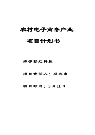 农村电子商务综合项目专题计划书模板