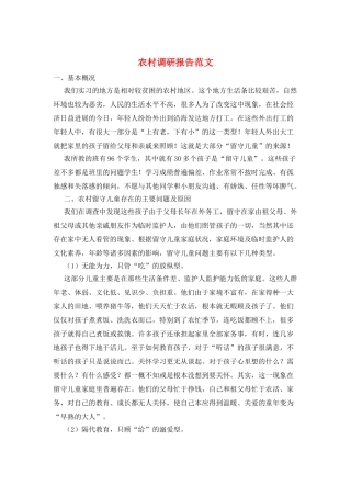 农村调研报告范文