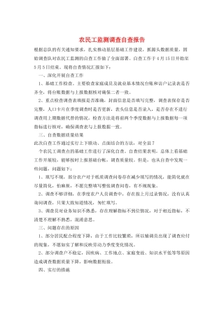 农民工监测调查自查报告