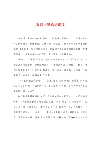 农训小我总结范文