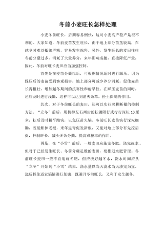 冬前小麦旺长怎样处理