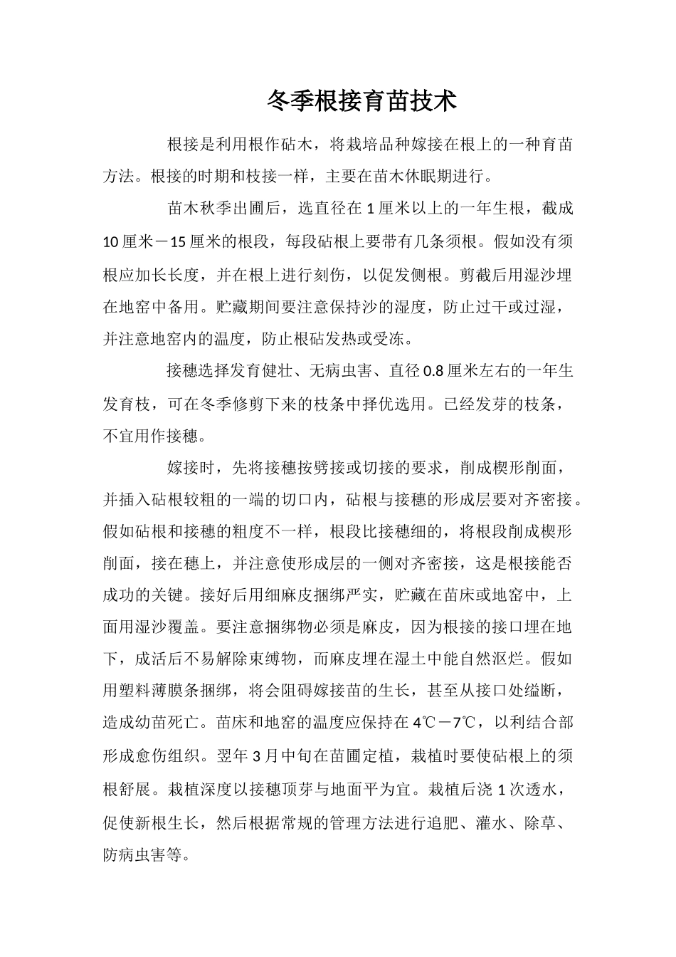 冬季根接育苗技术_第1页