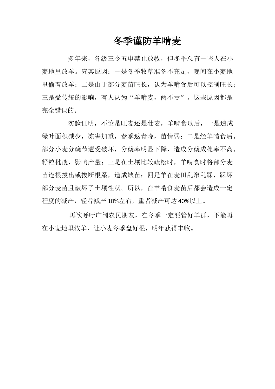 冬季谨防羊啃麦_第1页