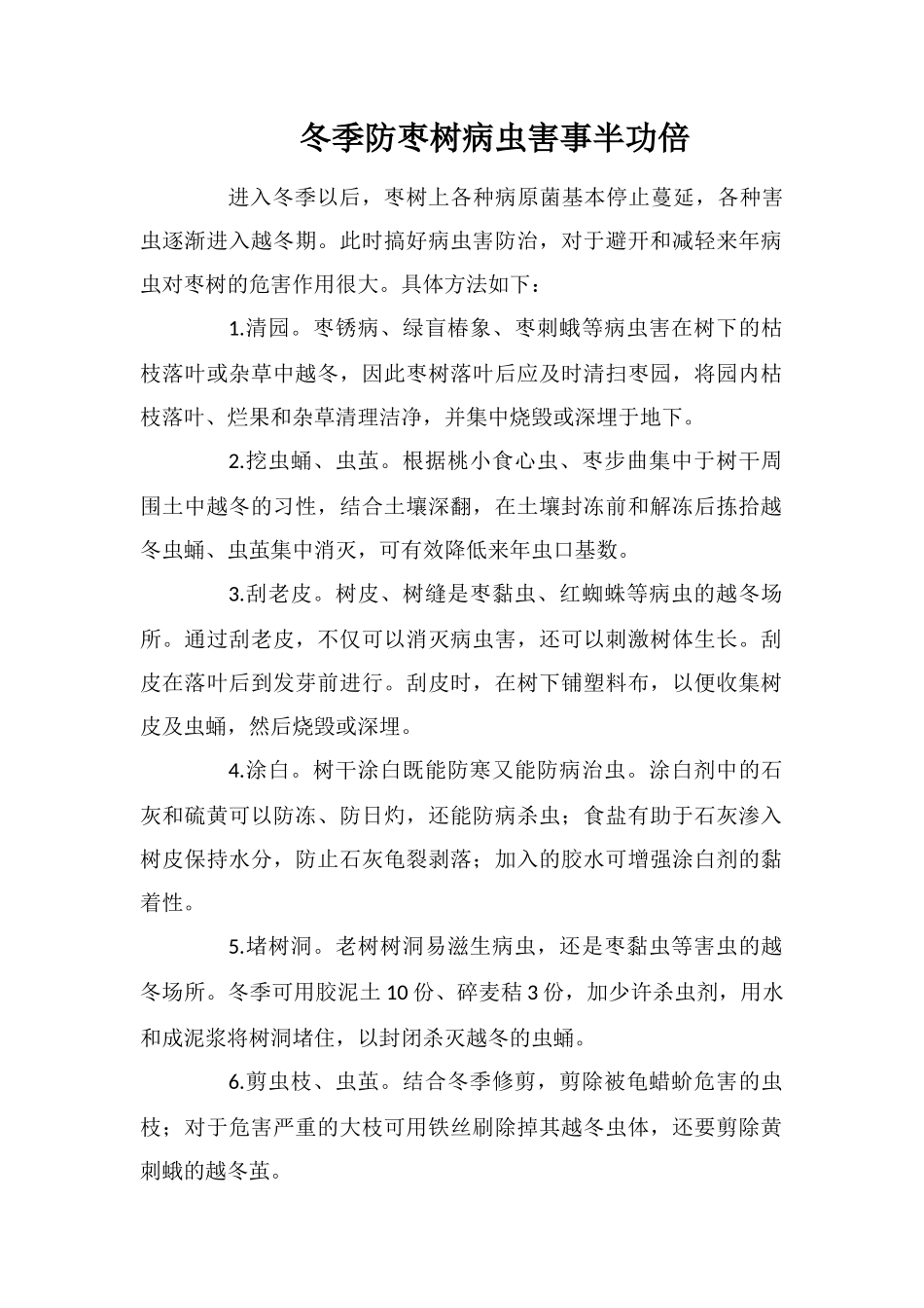 冬季防枣树病虫害事半功倍_第1页