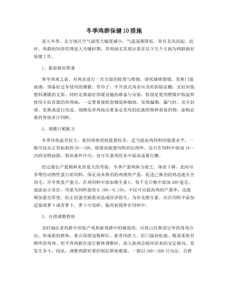 冬季鸡群保健10措施
